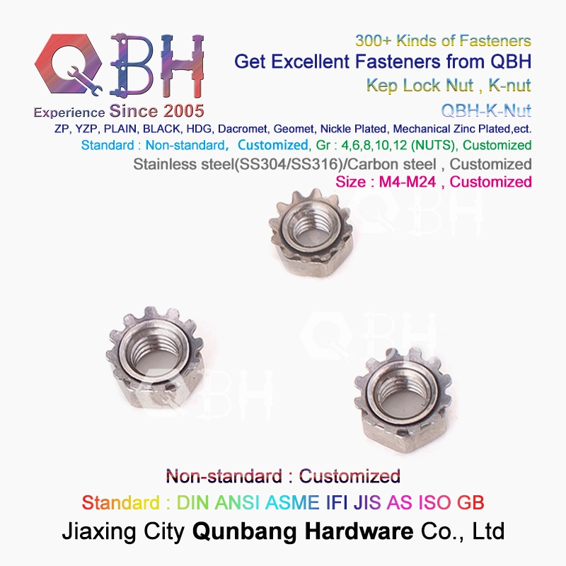 Qbh SS304 SS316 SUS304 SUS316 Stainless Steel K-Nut Star Nut