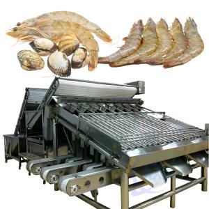 Wholesale Automated Food Processing Line Fish Sorting Machine Shrimp Cleaning And Sorting Machine from china suppliers