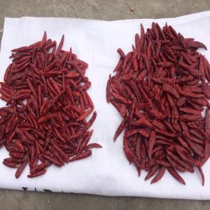 Wholesale Origin Round Tianjin Red Chilies In Convenient Bag Packaging from china suppliers