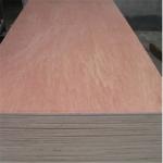 Hotel Bintangor Back 610*2440mm Green Panel Plywood