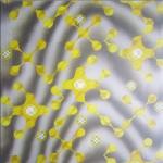 Waterproof Colorful PVC 3D Panel for Wall Decoration in 500mmx500mm Size