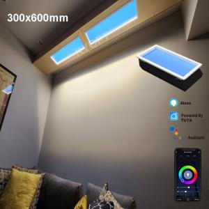 Wholesale Aluminum Alloy Commercial Artificial Skylight LED Panel For Outdoor Power Consumption 300W from china suppliers