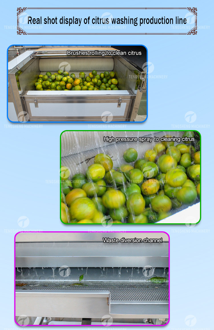 Dust Scrub Sortment Fruit Production Line Bubble Controlling Pineapple Vegetable Cleaning
