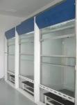 Cartmay Laboratory Fume Hood Chemical Walk In Fume Cupboard OEM Fume Extraction