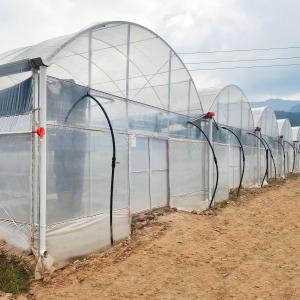 Wholesale Turnkey Projects Installed Commercial Hydroponic Plastic Film Green House Multi-span Agricultural Greenhouses from china suppliers