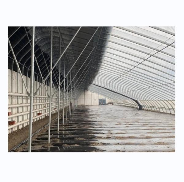Solar Winter Greenhouses Warm Agricultural Greenhouse with Galvanized Steel
