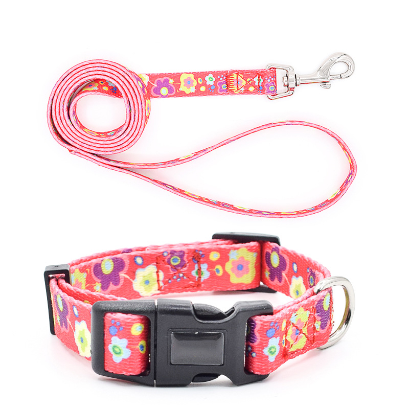 Pet Accessories Customized Collares Perro Dog Collars Personalized Design Custom Logo