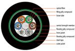 72f Armored Outdoor Fiber Optic Cable GYTY53 Directly Buried Single Mode Fiber