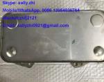brand new oil cooler, 4110000509172, excavator parts for excavator LG6225E for