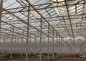 Wholesale Sided Ventilated Cooling Pad Multi Span Pc Sheet Greenhouse from china suppliers