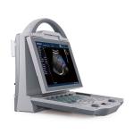 GYN Medical Ultrasound Machine GHDCU12 B M Veterinary Doppler Blood Pressure