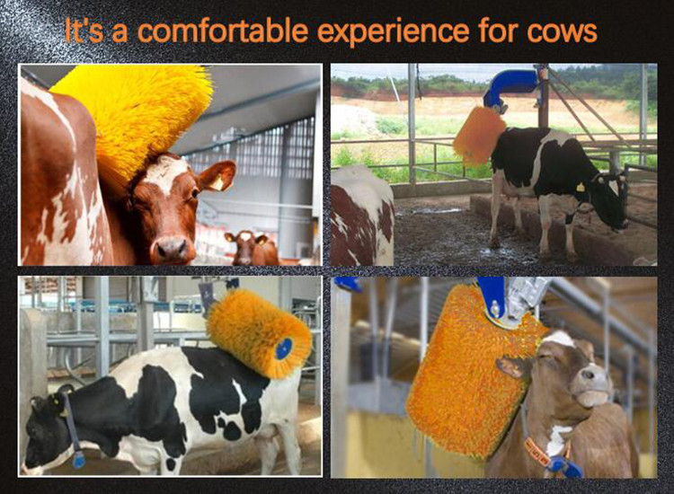 Poultry Breeding Equipment Cow Massage Brush Rotating Cow Shaving Brush