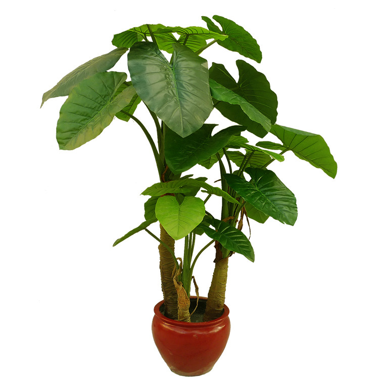 High Simulation Lager Leaves Plant Artificial Elephant's Ear Tree With Three Trunk For Landscaping