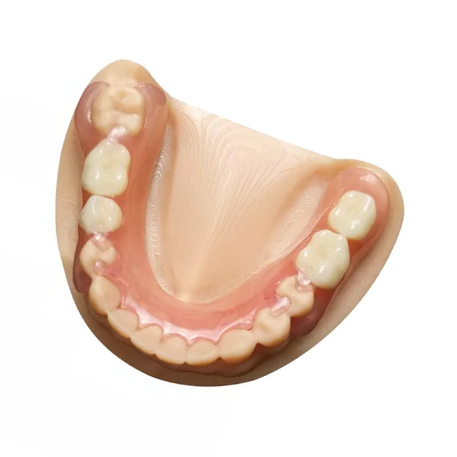 OEM Zirconia Dental Crown Removable Denture Professional Dental Laboratory