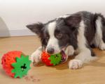 Cotton Rope Carrot Pet Chew Toys Interactive 30x30x43CM