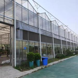 Wholesale Snow Resistant Luxury Multi-span Agricultural Venlo Glass Greenhouse For Vegetable Growing from china suppliers