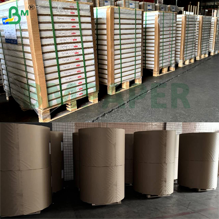 230gsm Waterproof Resistant Food - Grade Safety PET White Paper Board For Dinner Plate