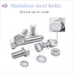 ISO9001 2015 Approved SS304/316 Hex Bolts and Nuts for Heavy-Duty Fastening