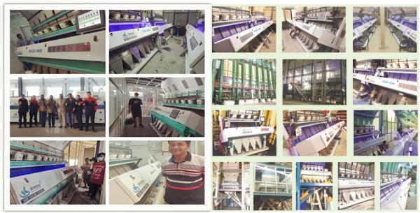Optical Raw Material Grain Color Sorter Machine With CCD Camera