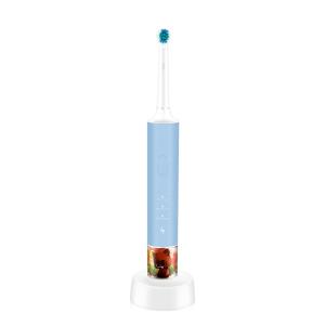 Wholesale Multifunctional 2W Rotating Electric Toothbrush 306g Ultralight from china suppliers