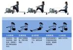 Body Building Water Resistance Rowing Machine Commercial Fitness Equipment