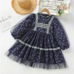 Spring Children'S Clothing Small Floral Dress Girls Long Sleeved Princess Dress