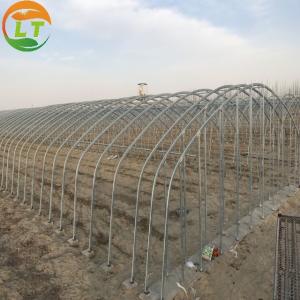 Wholesale Film Cover Material Hot-dipped Galvanized Frame Agricultural Greenhouse in 6m/8m/10m/12m from china suppliers
