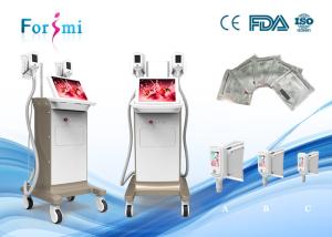 Wholesale Professinal weight loss lipo freeze machine slimming machine fat freeze for whole body from china suppliers