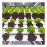 Temperature Suitable Agricultural Greenhouse Farming Pipe Hydroponics Rectangula