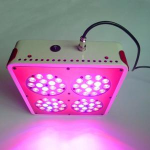 Wholesale Apollo 4 LED Grow Lights for Medical Plants Growth from china suppliers