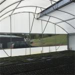 Tropical Ventilation System Sawtooth Single Span Greenhouse For Vegetables