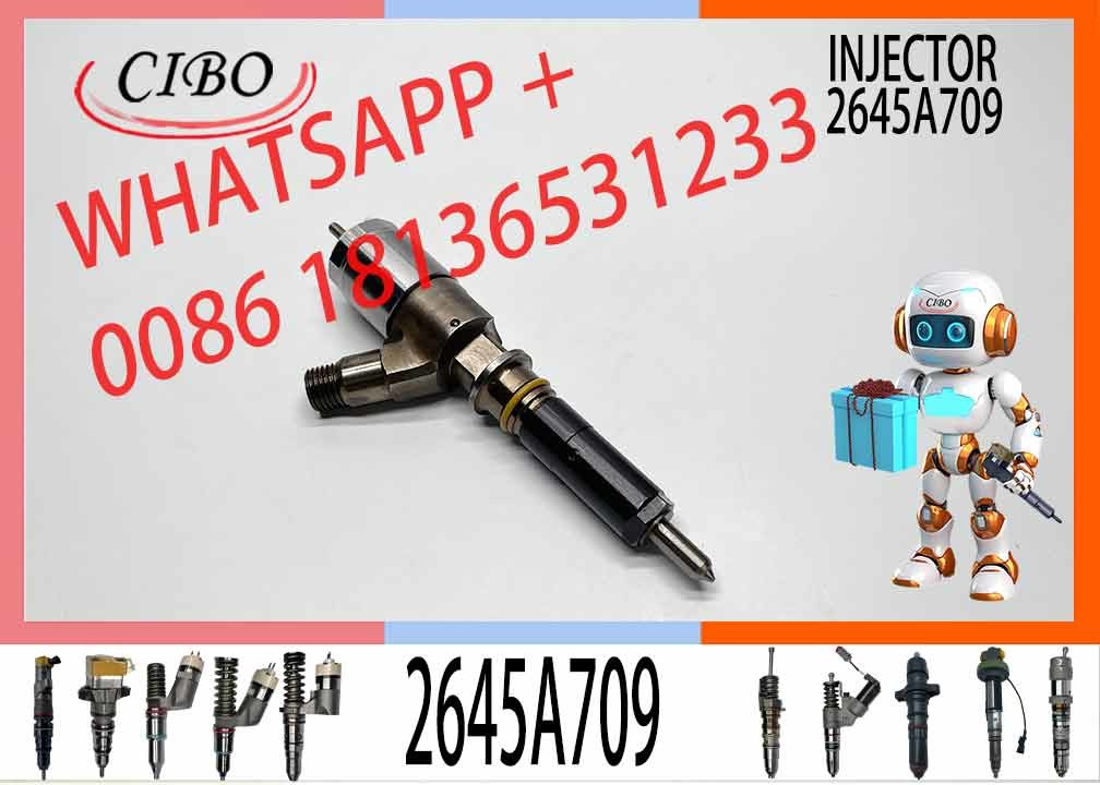 Diesel Engine Fuel Injector 282-0490 2645A709 10R-7673 10R-7676 2645A734 Engine Diesel C6.6 C6.4 C4.2 Injector