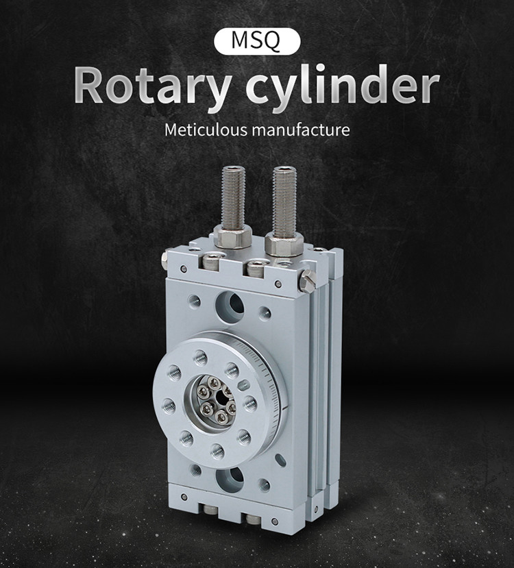 2 directions Mounting Pneumatic Rotary Gripper Auto Switch Capable