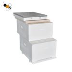 20mm Thick 10 Frames White Wood Pine Bee Hive