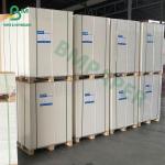 Single Side Double Side Cup Stock Paper Board , 250g + 15 PE Coated Board For