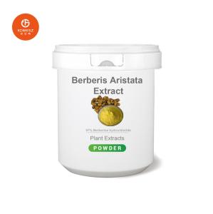 Wholesale Food Grade 80% Silymarin 30% Silybin Isosilybin Milk Thistle Extract from china suppliers