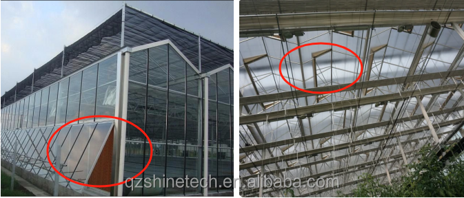 Galvanized Steel Frame Glass Covered Agriculture Greenhouse with Installation Drawing