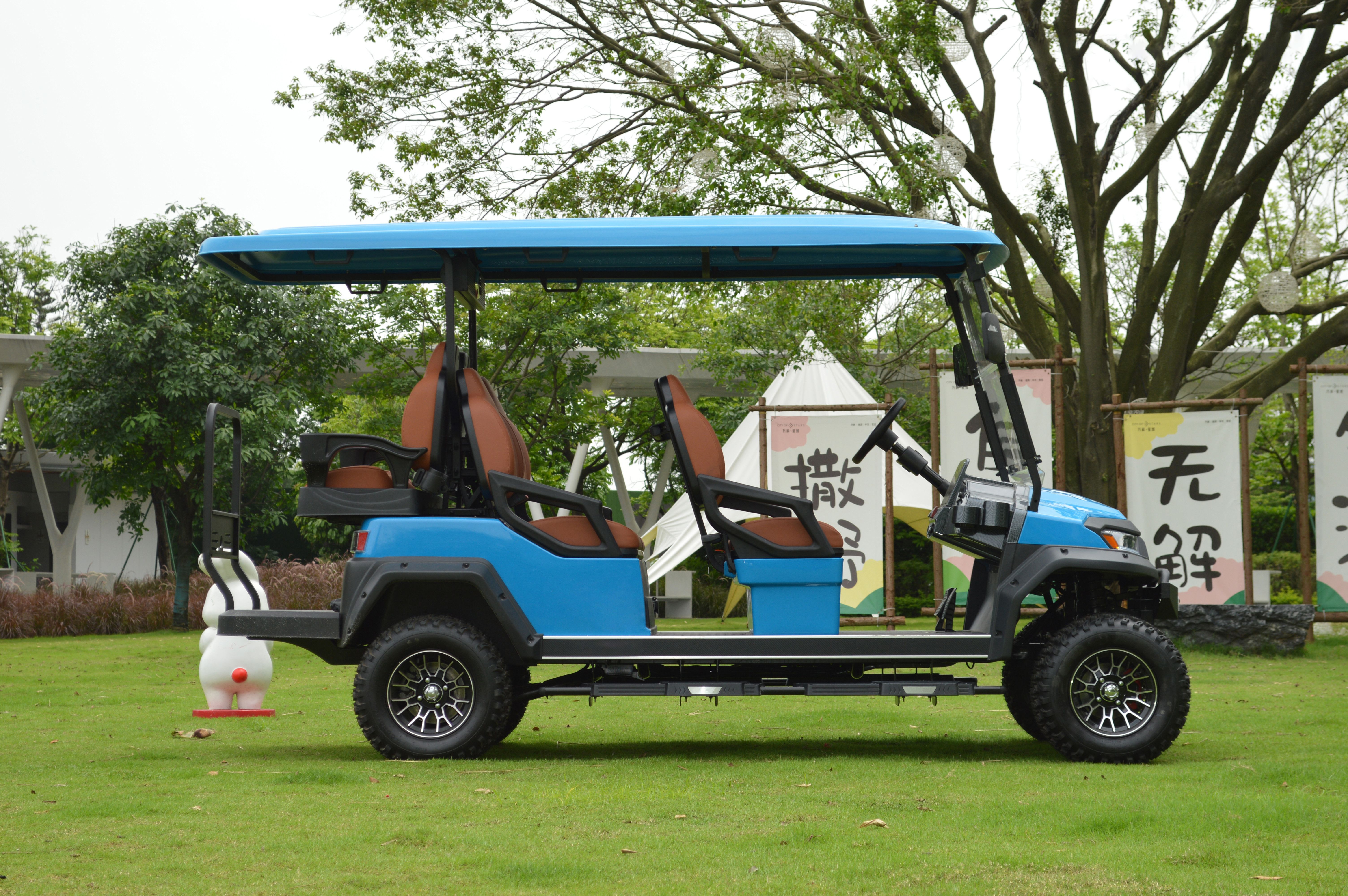 2 4 6 Seat Electric Lithium Battery Sightseeing Golf Cart Golf Buggy Car with DOT Comfortable and Spacious