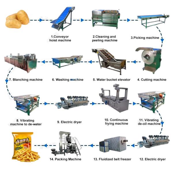 French Fries Processing Line Machinery Automatic Grade and Customization for Operations