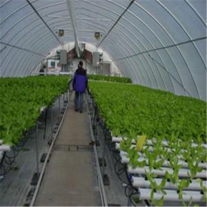 Wholesale Professional Intelligent Glass Greenhouse For Tomato / Pepper / Cucumber from china suppliers