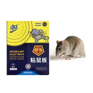 Wholesale Adhesive Rat Glue Bait Insecticide Building Grade Hard Board Mice Killer from china suppliers