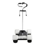 10 Inch Four Wheels Powerful Electric Scooter Electric Golf Scooter 1000w Dual