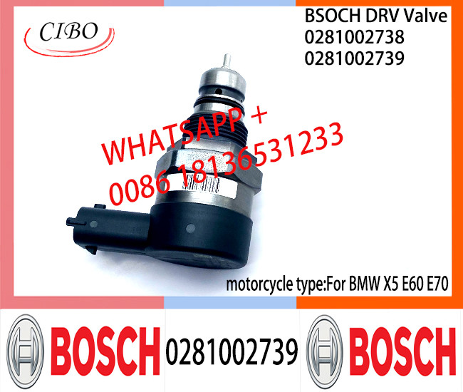 BOSCH DRV Valve 0281002739 Control Valve 0281002739 For BMW X5 E60 E70