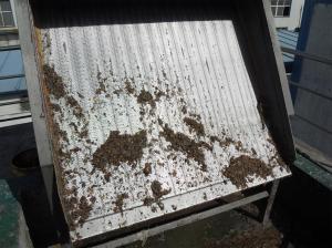 China Economical static screen wastewater treatment , liquid solid separation equipment on sale