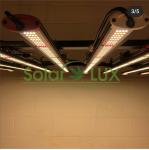6bars 600W Horticulture Full Spectrum LED Grow Lights