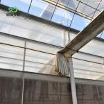 100% Blackout Automatic Light Deprivation Greenhouse for Canada / USA Request