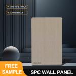 SPC Wall Panel Hot Selling 600*2440*4mm Waterproof Stone Plastic Eco-Friendly
