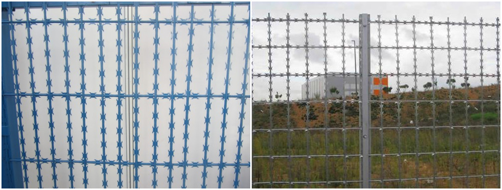Hot dipped galvanized welded razor blade wire mesh fence