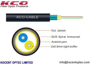 Wholesale 2 Fiber 4 Core Armored Fiber Optic Cable FTTA 4.8mm Customized ISO9001 Approval from china suppliers