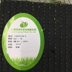 Green Outdoor Synthetic Grass 20mm 25mm 30mm Artificial Natural Looking